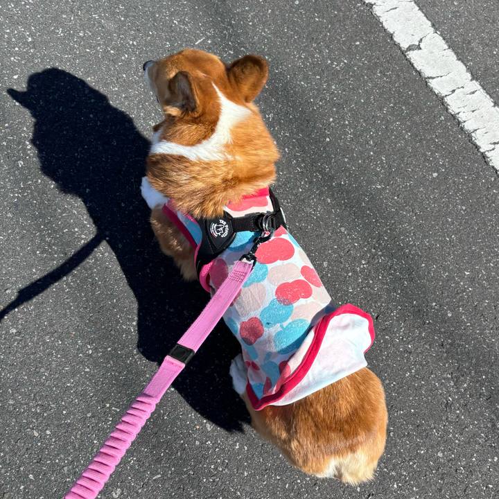 898125c9 4ce9 4636 97c8 b4da7ac0ec3a 1740366348351