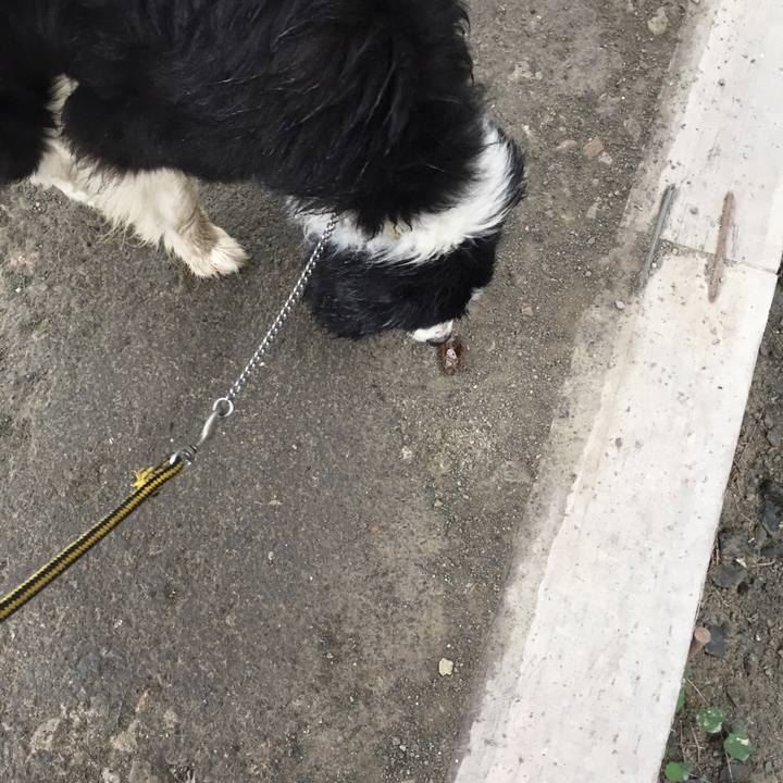 8981278f 4074 4731 8f1b 415facbefca0 1566259955257