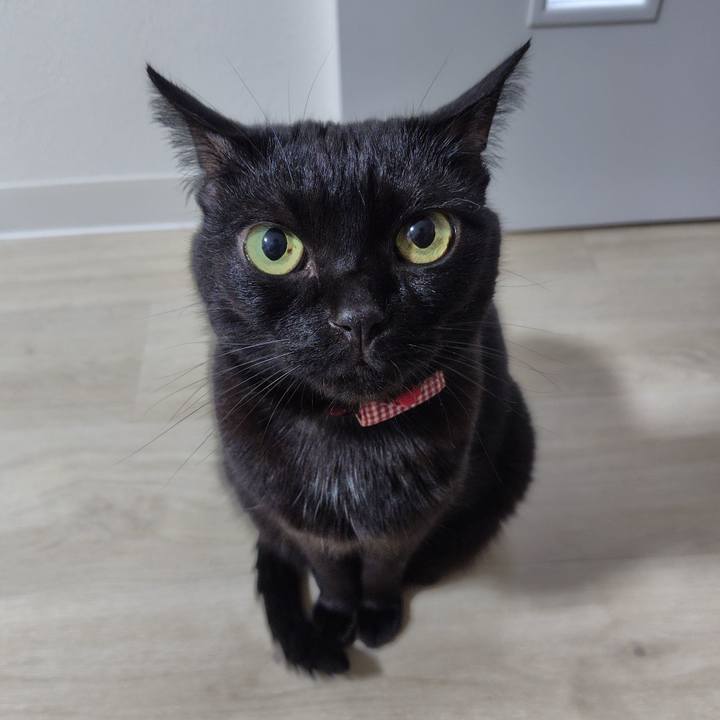 89817555 ded2 4823 8201 ed5a229f099e 1727958598561