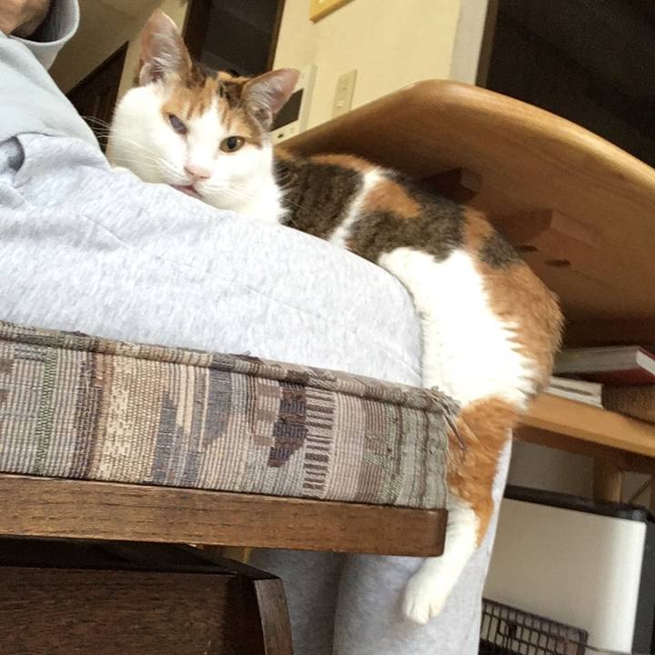 898189d2 83f2 4cb9 8bf2 66cb9d28254c 1614137436914