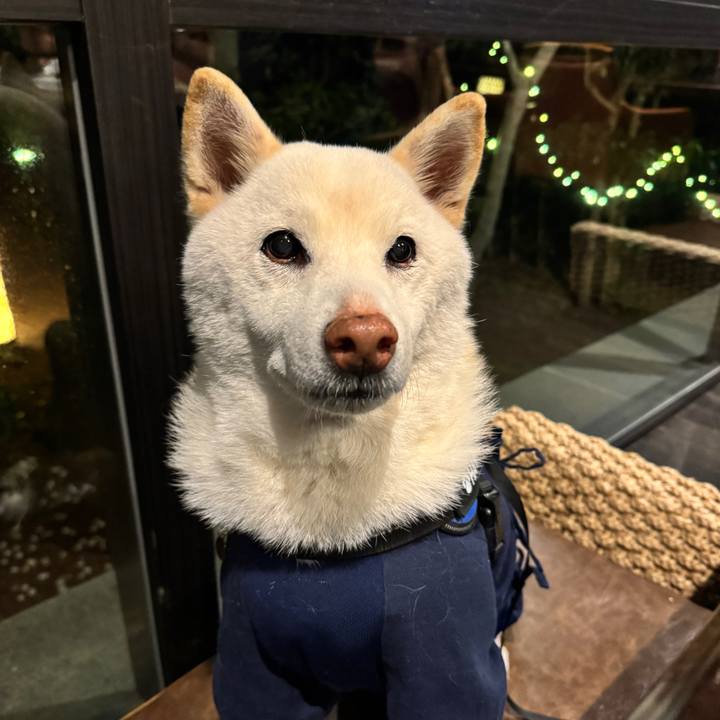 898198c1 8b02 4fbf a7e0 b824a227c206 1773225724325