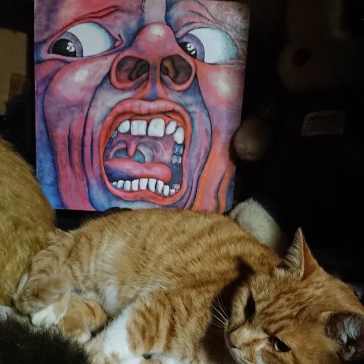 89819b55 b965 4e10 9f57 7adf8a8f04a3 1606732619722