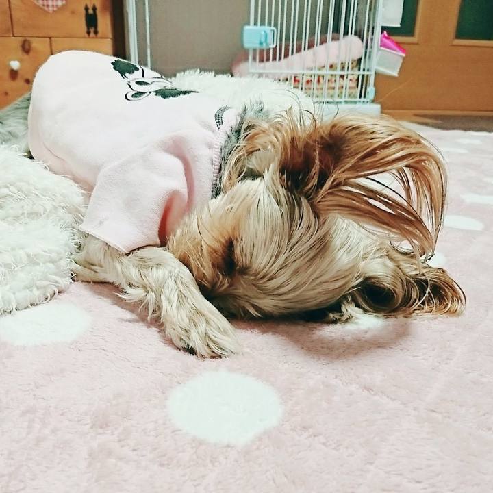 8981b4a7 97a5 4b36 9b41 a3b86891e847 1511618170740