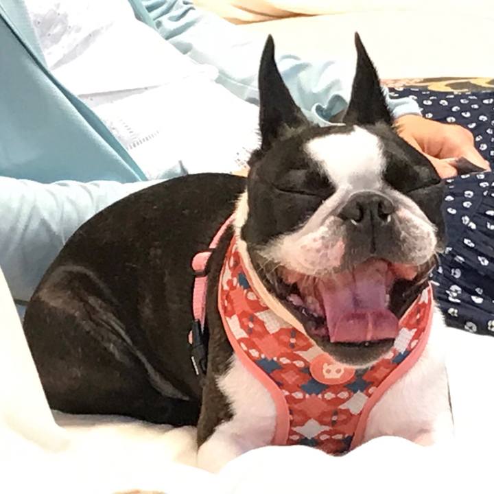 8981ce41 4433 4b85 890d 616062bfcae1 1625998618932