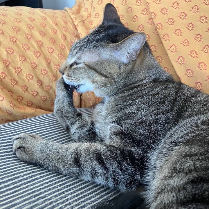 8981e30a 705c 446d 83ba 53740b281ff5 1768272974847