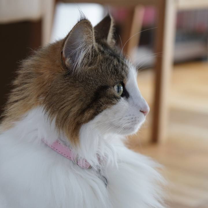 8981e90d 546e 4a0b 9b8e e132394d451b 1555115462242