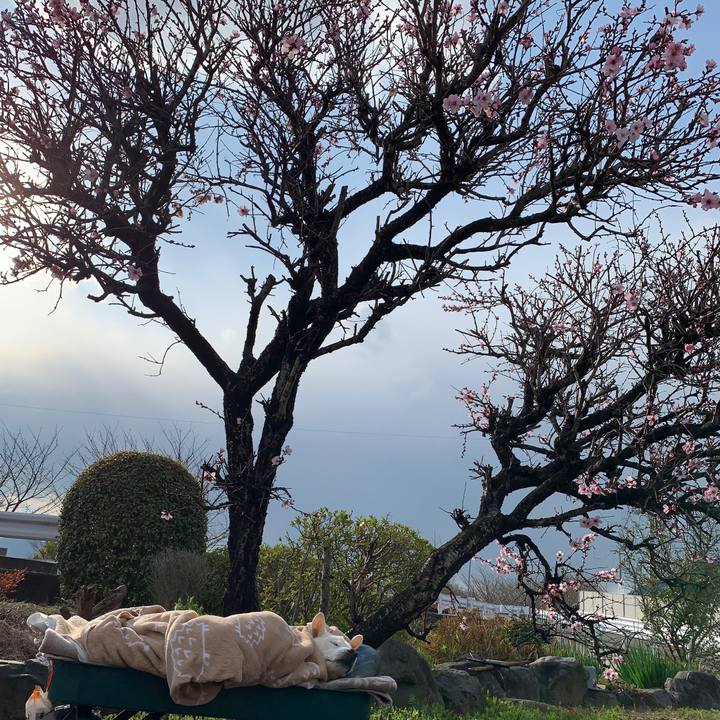 898202d1 bcbc 464a 9ffb af071625efe8 1584273567415