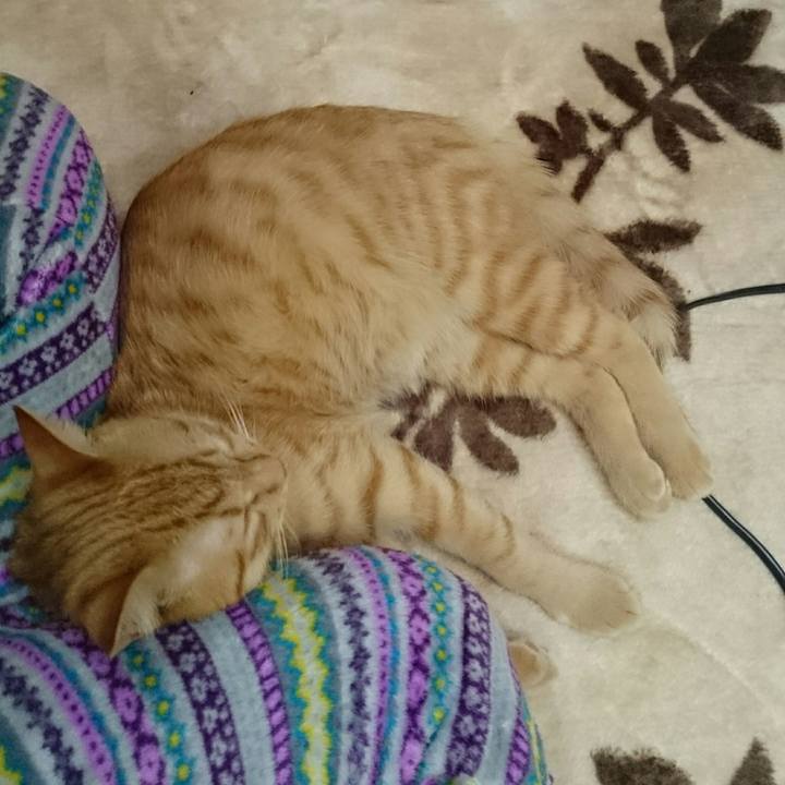 898214df da9a 48ea abc4 6318f08b1123 1550495334528