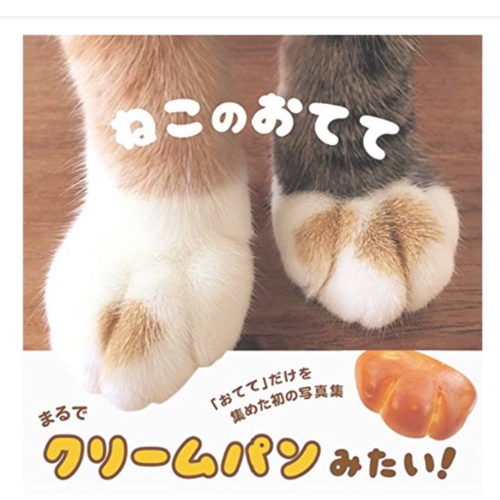 89824806 b05d 48ed 8c80 5a08f5b0ad42 1529471551148