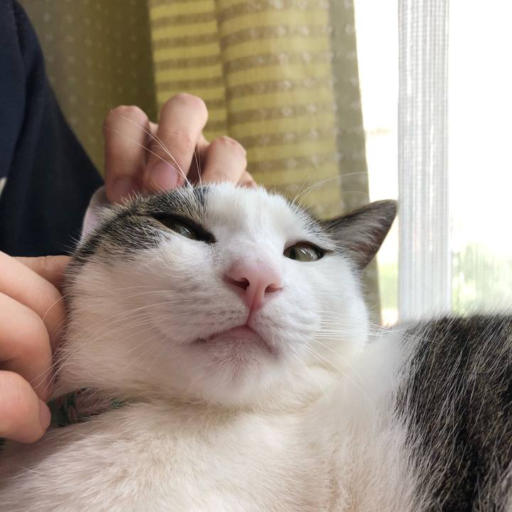 8982480f 25e2 4a88 9274 b03f73ccde94 1594969670109