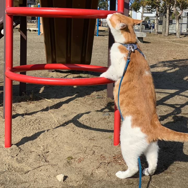 89827a12 9efa 44c9 9ce0 383345f8cc7e 1582503985015