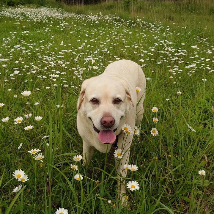 8982b35d 659f 47d0 942c bc1fed343f00 1752033098103