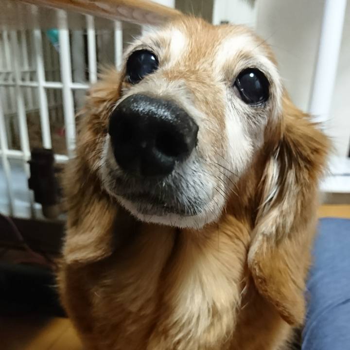 8983b70e a075 46eb bcdd d9900562d661 1510189527059