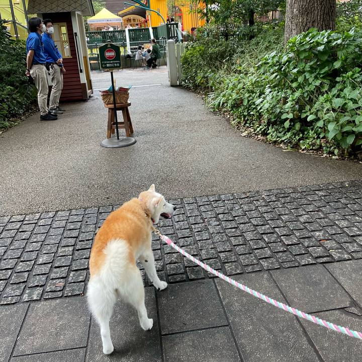 8983d289 cec1 47f2 a6da 3ea4d72d7775 1664053849880