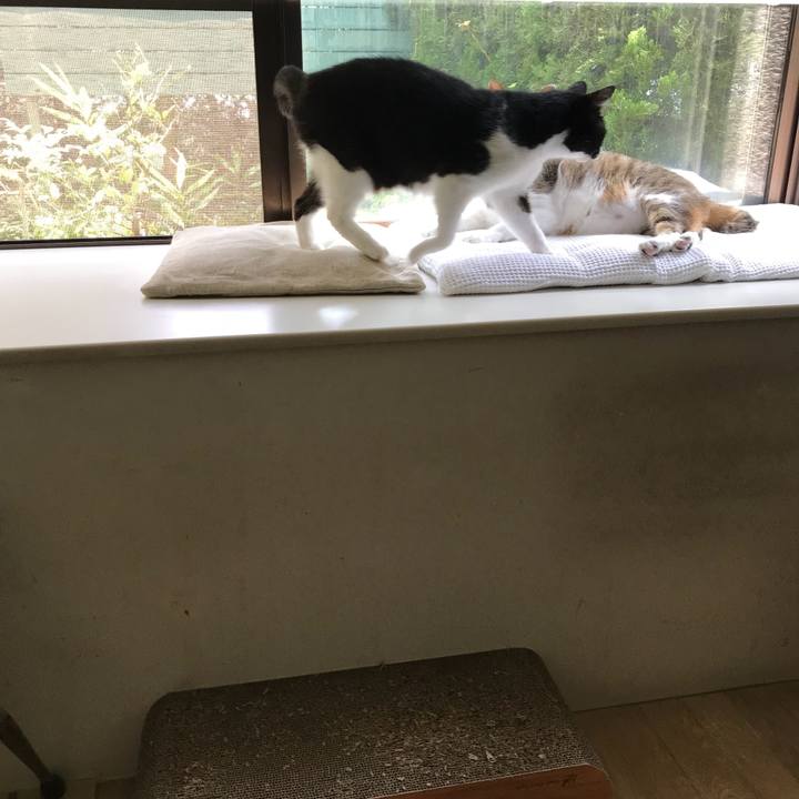 8983de85 2544 4678 87c5 746544e2d45f 1529983548536