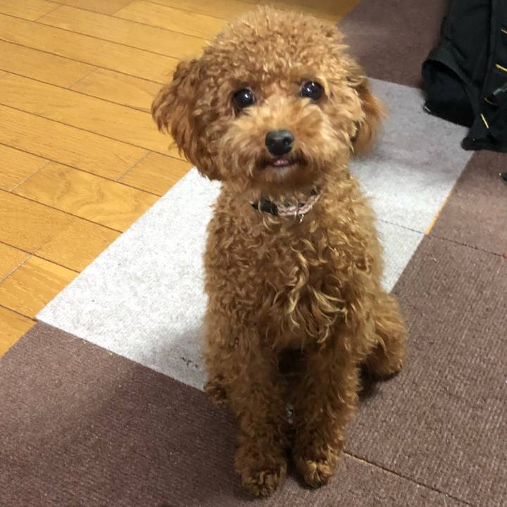 8983f9ec cdc5 4c6a b993 7b50efc82349 1509155057950