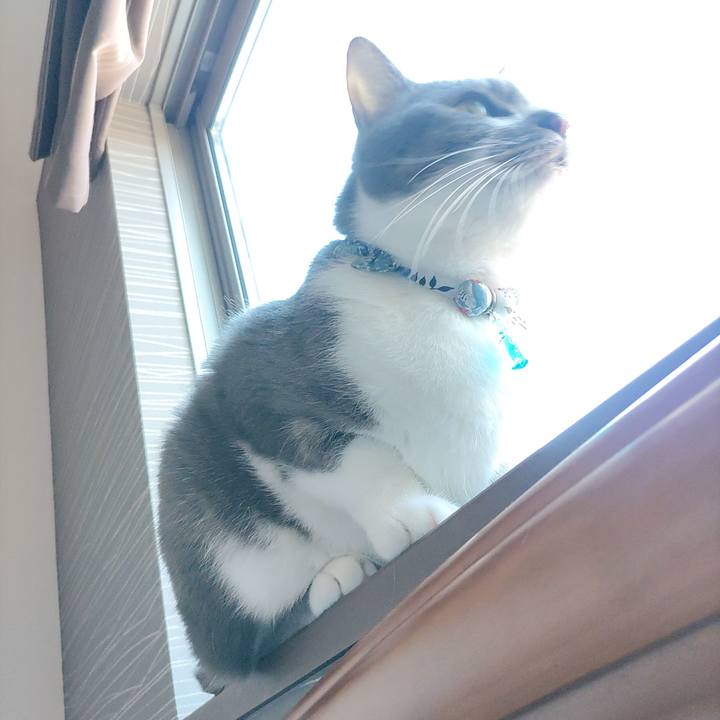 89840421 08a2 4aec a42e ed3d31020a1e 1676078625376