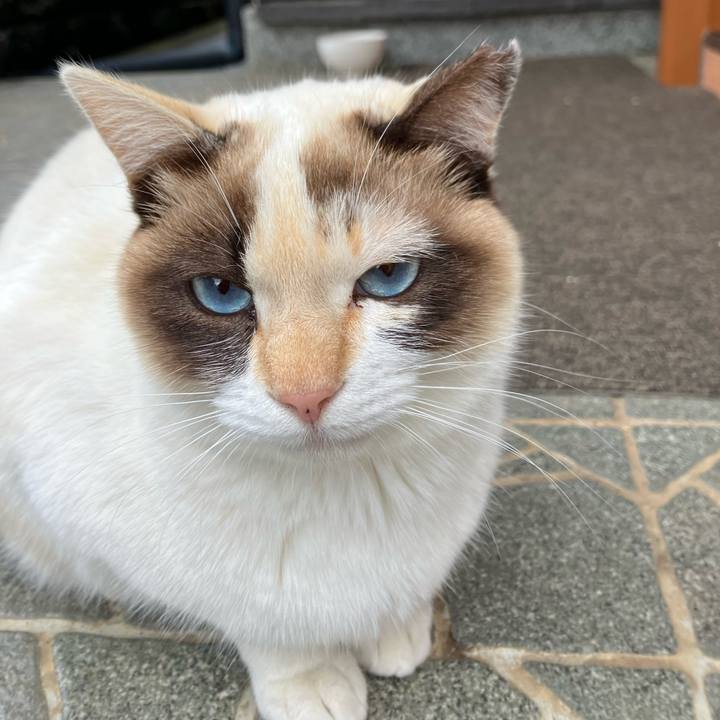 89845e93 916f 47f5 9155 bec9db7a9c5d 1764107714670