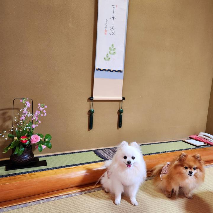 89849247 388a 4941 8b4b 07e1213040b3 1713873940303