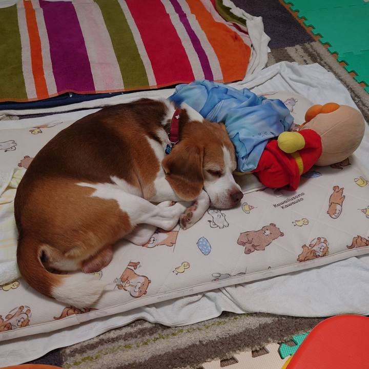 8984ac40 e826 4057 a529 e76c6f28ede7 1724906199563