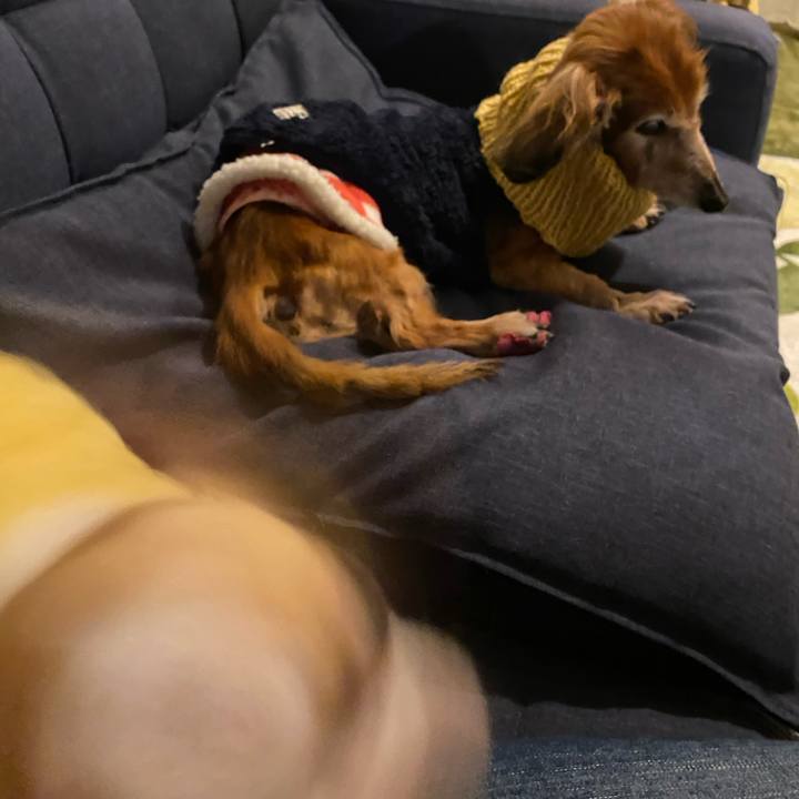 8984dcac 967d 4509 857f d027d245b5fc 1767432839985