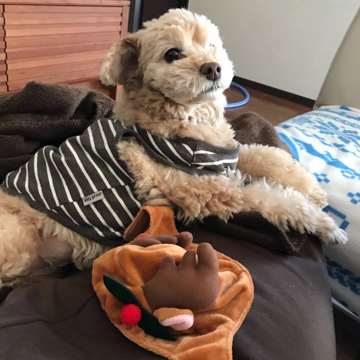 8984effb 6adc 4b59 8ab1 6b081354226f 1545699899168