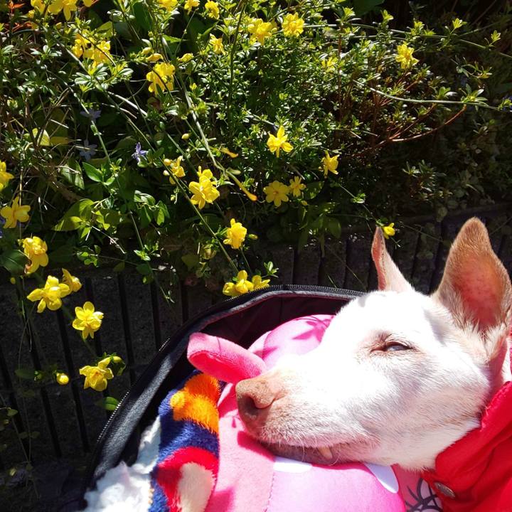 8984f3b5 1807 41c3 b77f cb6370aaabdc 1618026974514