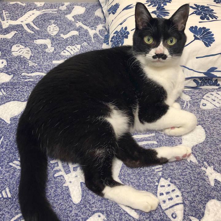 8984fbcd 839e 4b3b 83db 5bcf91e9c47d 1617633682438