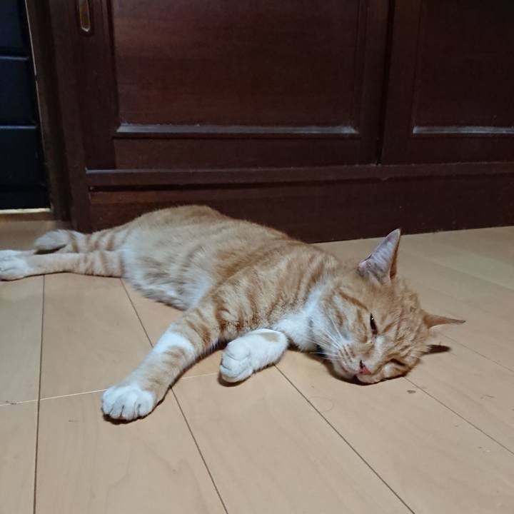 89850e61 79ad 4acd b78e a9caab1e957b 1598613773934