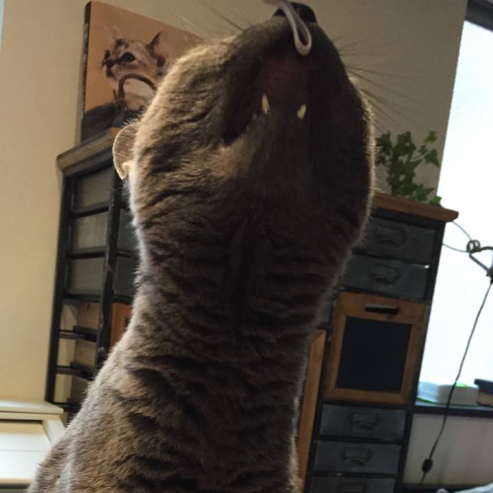 898514d3 54cc 466c 9088 677f5c31e3f2 1564441921161