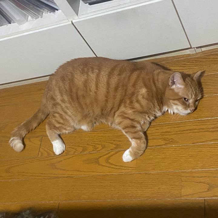 89853ca8 9adf 4ec8 bc81 377ff321a66c 1723889688291