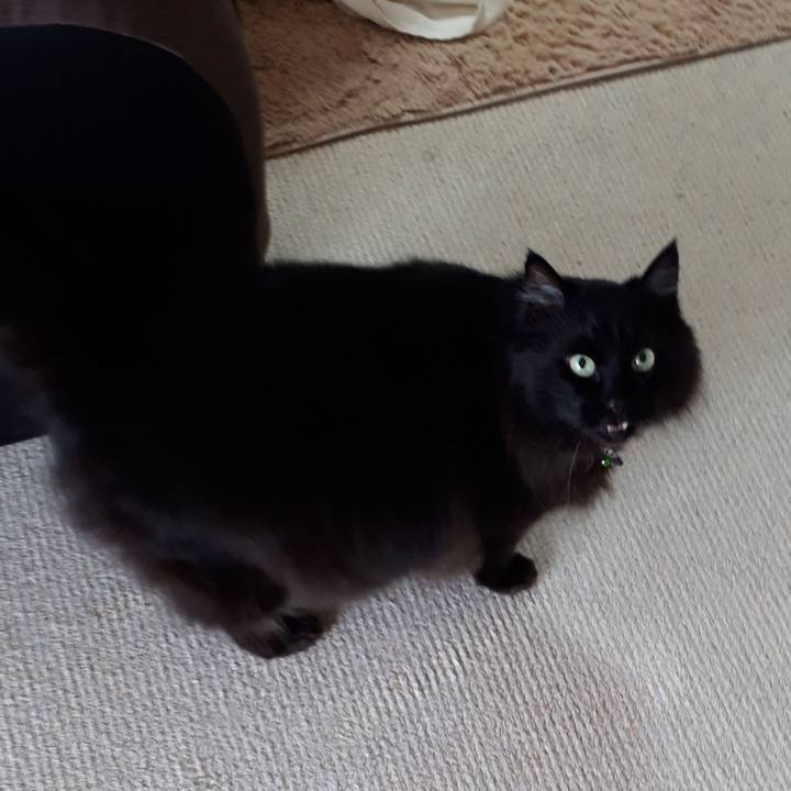 89858a26 0280 4f43 948d 96ce6e42532f 1521760477103