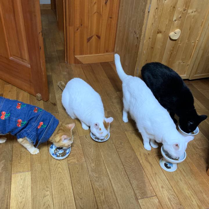 8985cae4 7ba8 447c 97b4 ed6caf9ff252 1662297409579