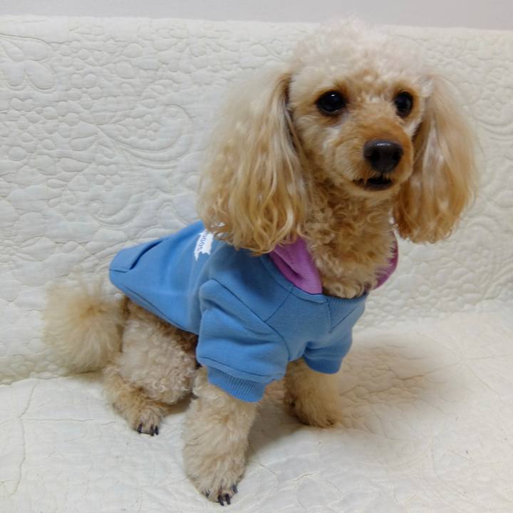 8985f479 264a 4028 a16c fdafbe6d483f 1645698808080