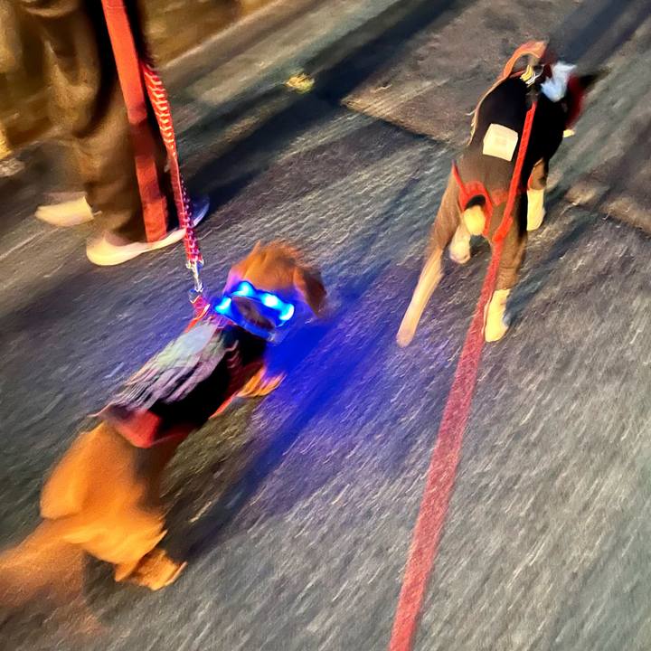 89861299 f957 4cdc b4dc 56eccc5b6d23 1652218944549