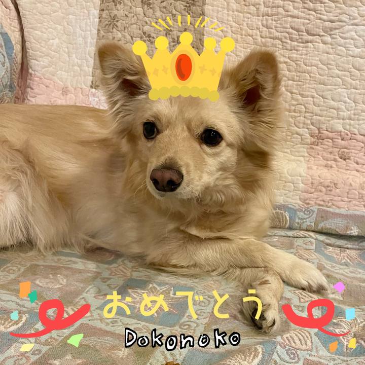 89864f8d fabb 4b62 af46 054471881edb 1685975971864