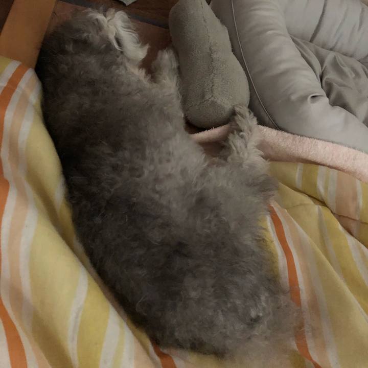 898662df 8b50 4f9a 96d8 4613acd8a102 1630226867340