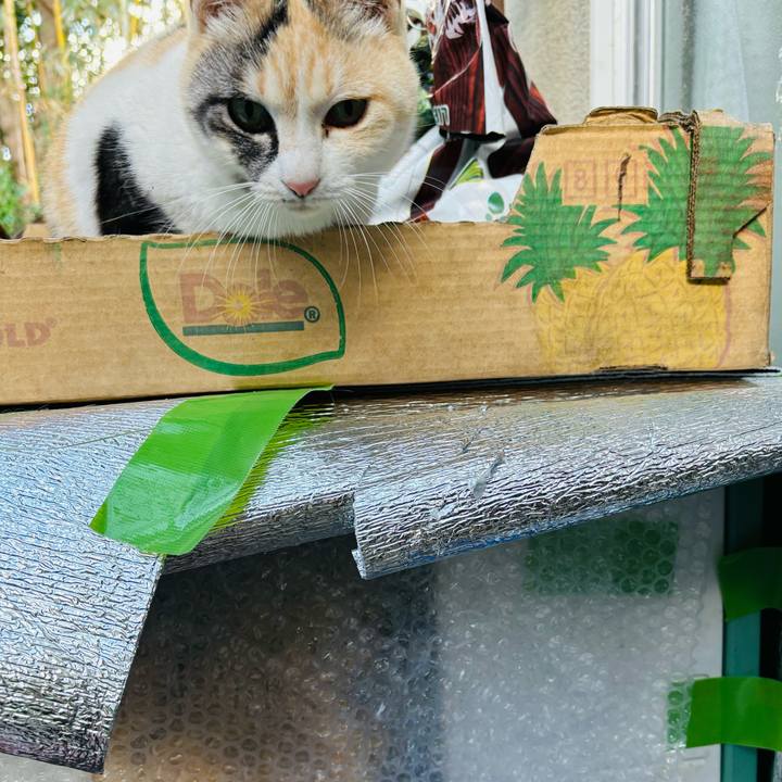 89866a5b 8124 4301 9291 c9e2e383ccc2 1736485966219