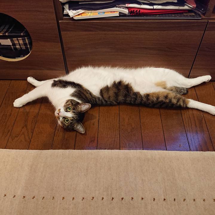 89868334 4df6 4a90 95a2 7d974a157b54 1637883643009