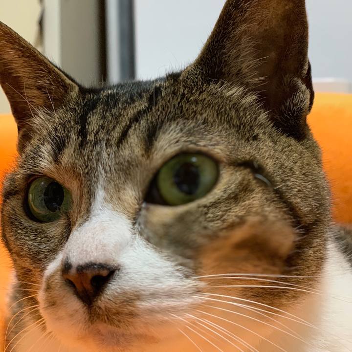 8986a3d9 15fe 40d3 9d30 8a122d0114e0 1557105438996