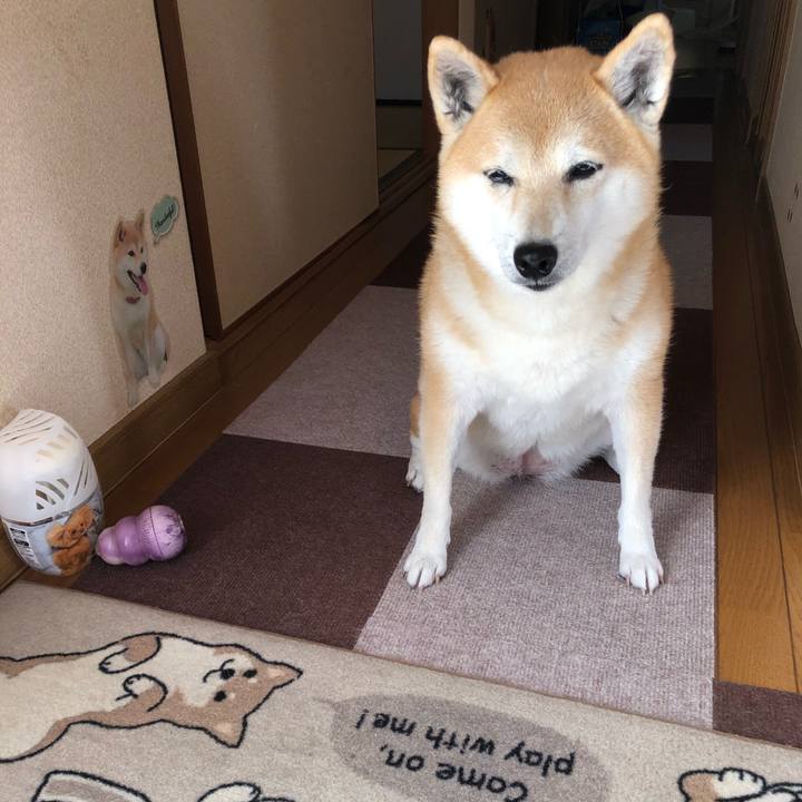 8986f1dd e607 413f 8259 f8d32c0eeaa8 1605407419600