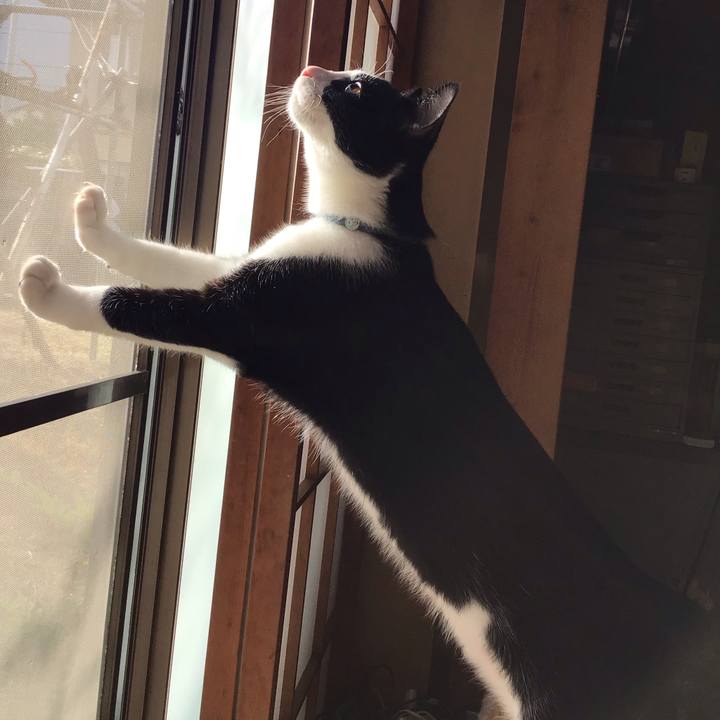 898714b8 77e5 4e26 beec e4abeb2f90a6 1632817639260