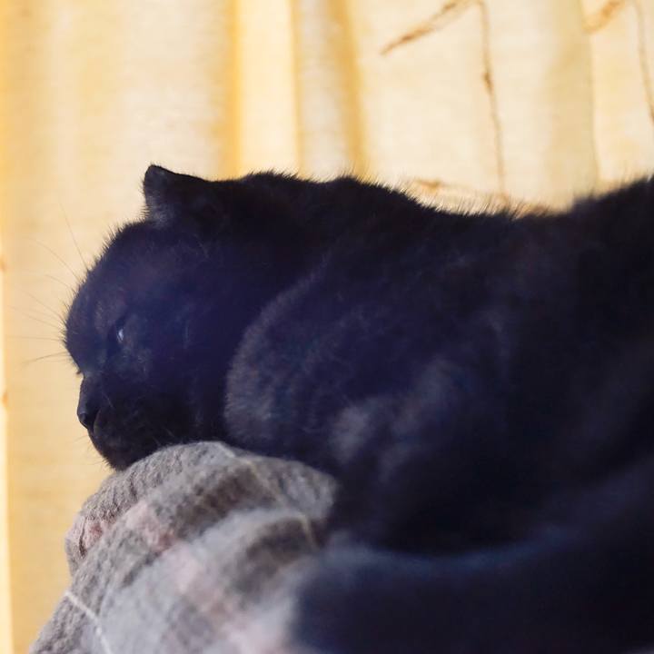 89871b57 7a2a 42d6 b44e 70ae10e823d5 1566578531844