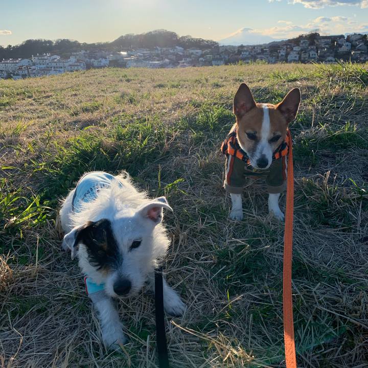 89876bf7 61d1 45cb 94a5 f676c7e57a8e 1584347397261