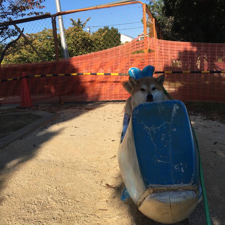 89878f6e 82c0 4cef b813 333fb7fadcd1 1604177035762