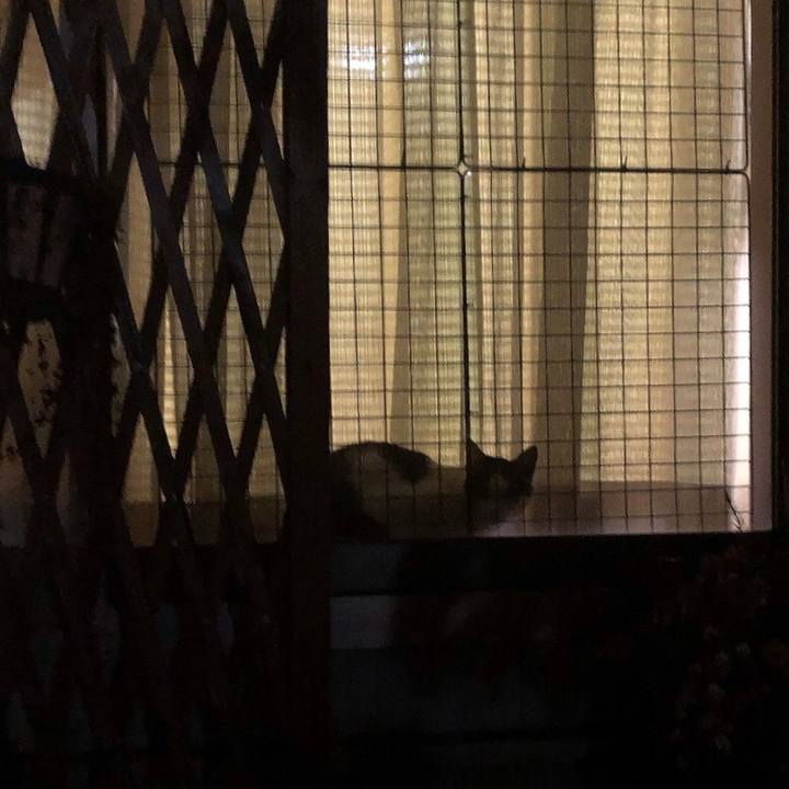 8987bdcd 7cec 47b7 968c b9c298b2a4cb 1644747926789