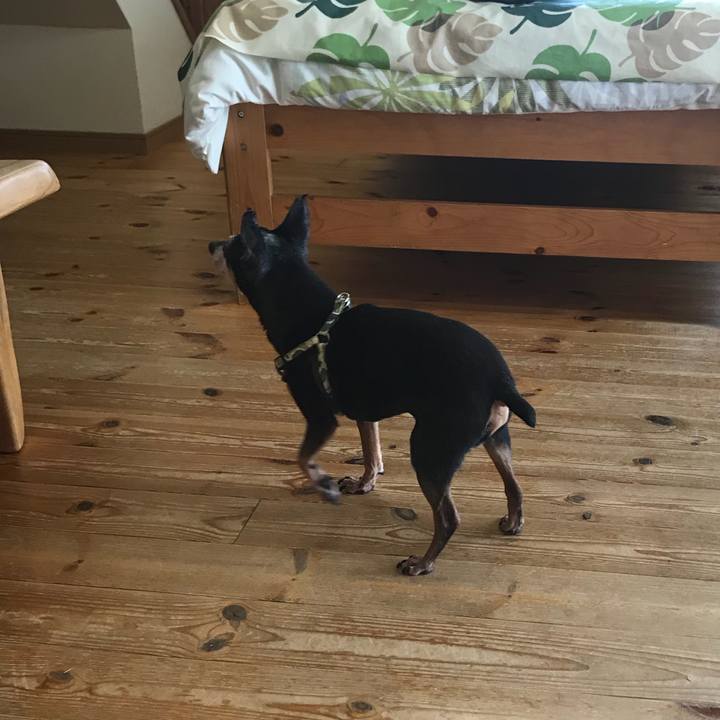 8987c1ac 2141 4d4c 9743 a37f68edcd7b 1565502335411