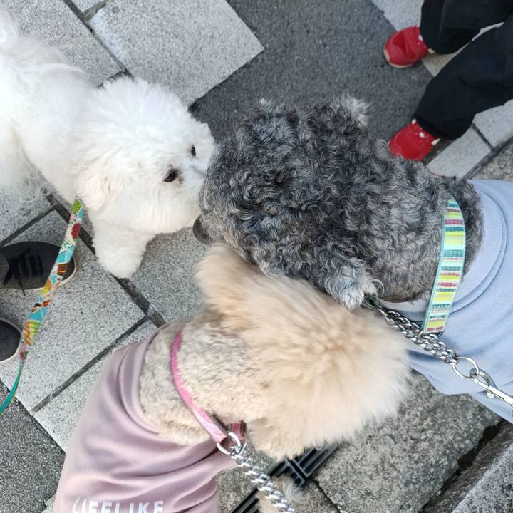 8987dae8 e871 4ce6 b5e2 1f4f6a9ad3e7 1763372733011