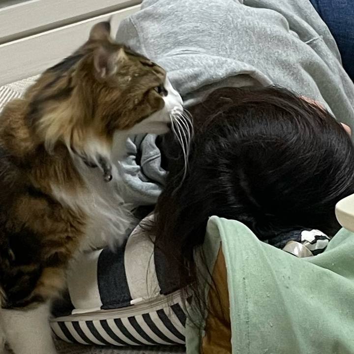 8987f388 58ea 4d68 b29c 7da845f29286 1650970765093