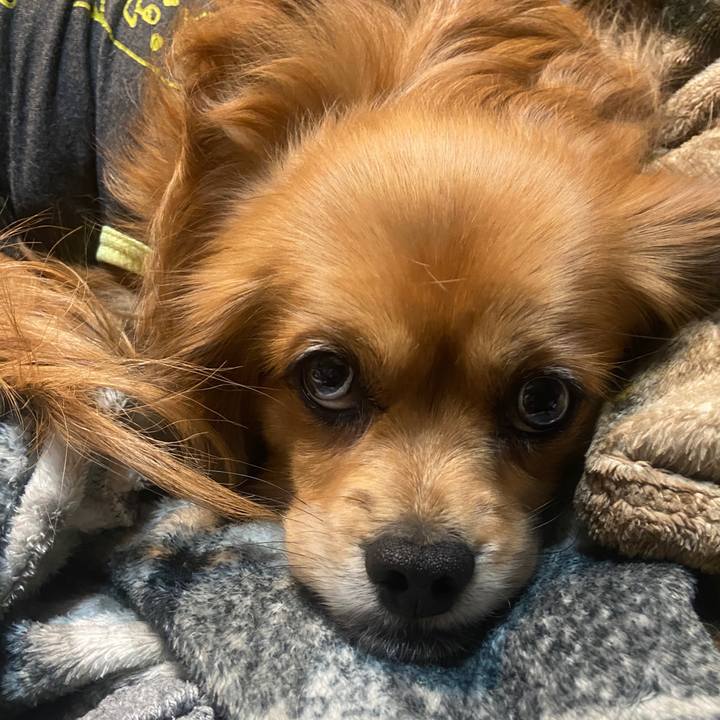 89880f38 bfaa 41b8 a427 751b3174107d 1671170270286